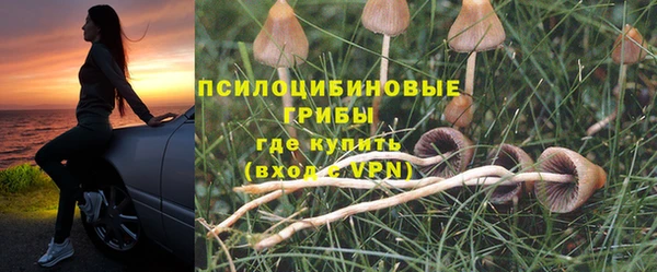 тгк Балахна