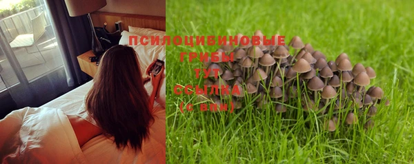 прущие крисы Баксан