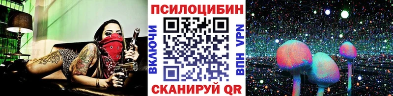 Псилоцибиновые грибы GOLDEN TEACHER  Губаха 